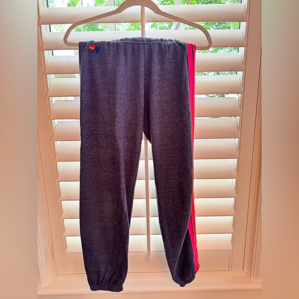 RARE aviator nation Gray and Pink Joggers